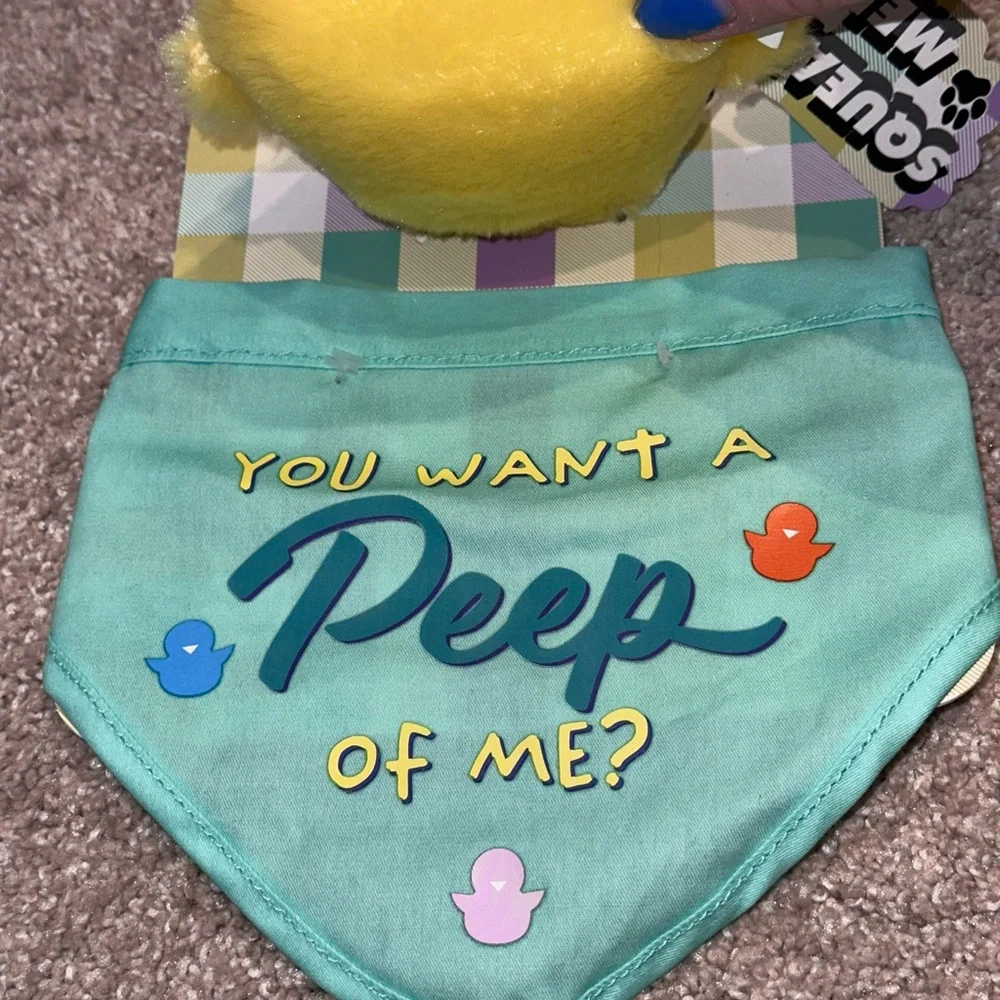NWT Do You Want a Peep of Me Dog Bandana and Chick Squeaky Toy.